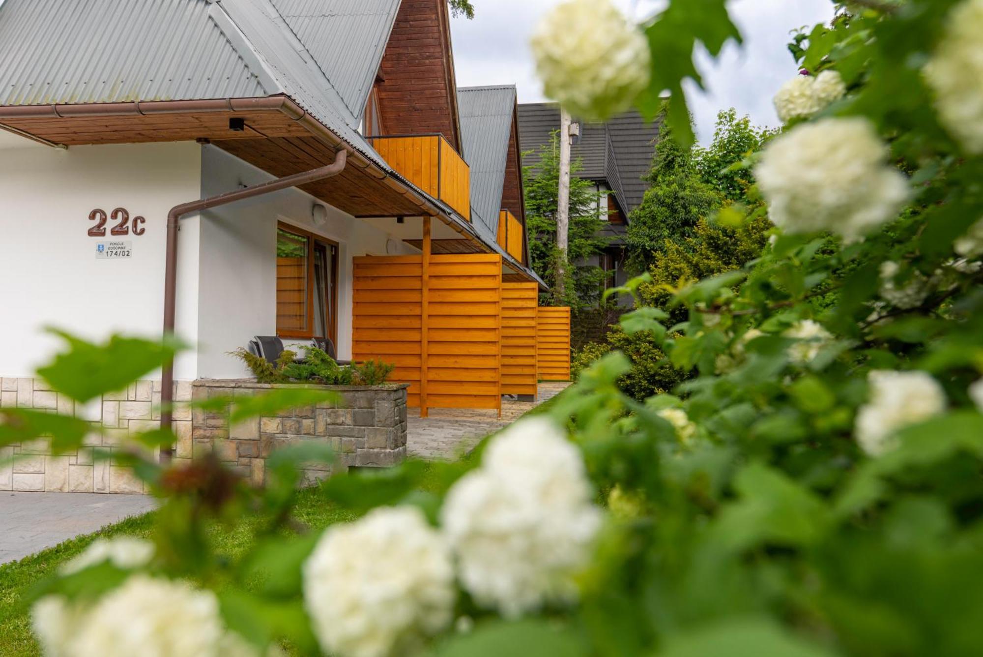 Modrzew Apartment ซาโกปาเน ภายนอก รูปภาพ